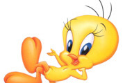 Avatar de Titi.